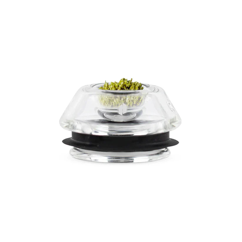 Proxy Flower Bowl