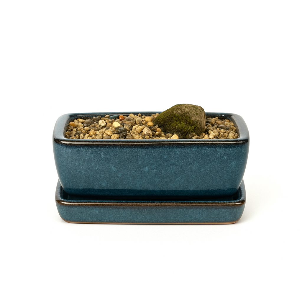 Bonsai Pot Blue self-watering