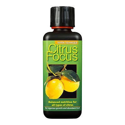 Citrus Focus 1L