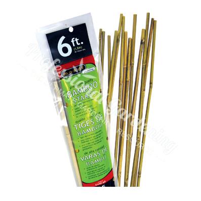 Bamboo 25pack 6ft.