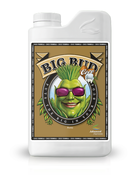 Big Bud Coco