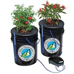 Alfred DWC Grow Kit (4-Plant System)