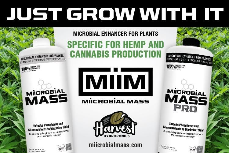 Miicrobial mass Pro