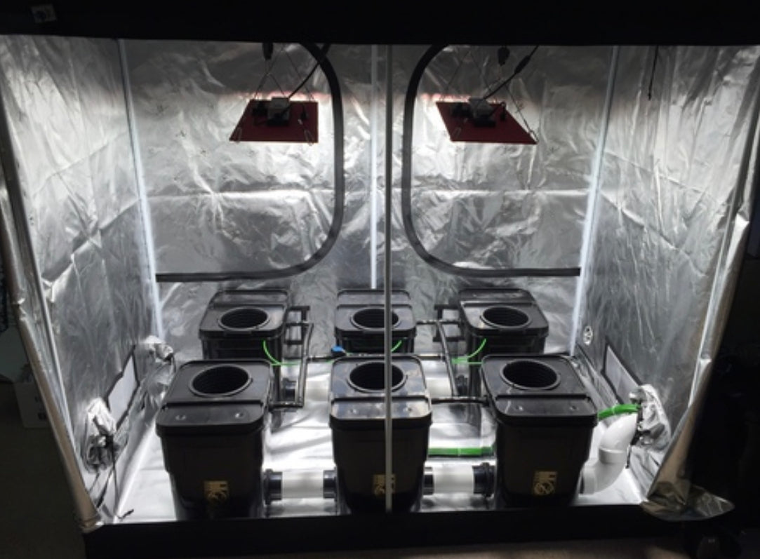 Hydroponics 6 Plant Fallponic with 13 Gallon