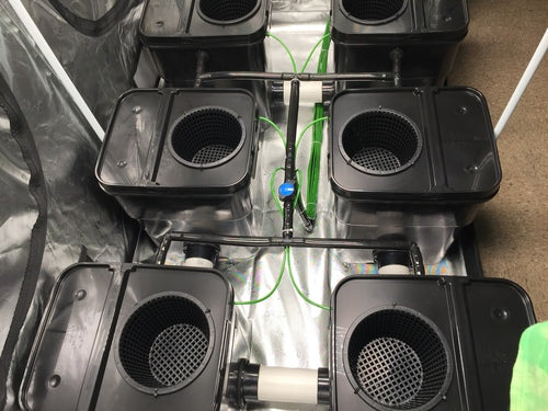 Hydroponics 6 Plant Fallponic with 13 Gallon
