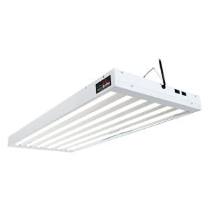 AgroBrite T5    4ft. 4Lamp