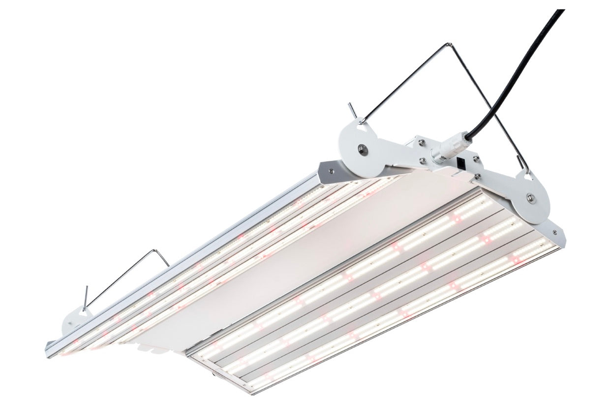 PHANTOM PHENO 440 LED, 440W, 100-277V, MP Spectrum
