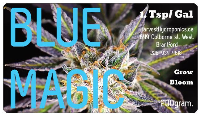 Blue Magic