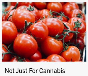 Not Just For Cannabis