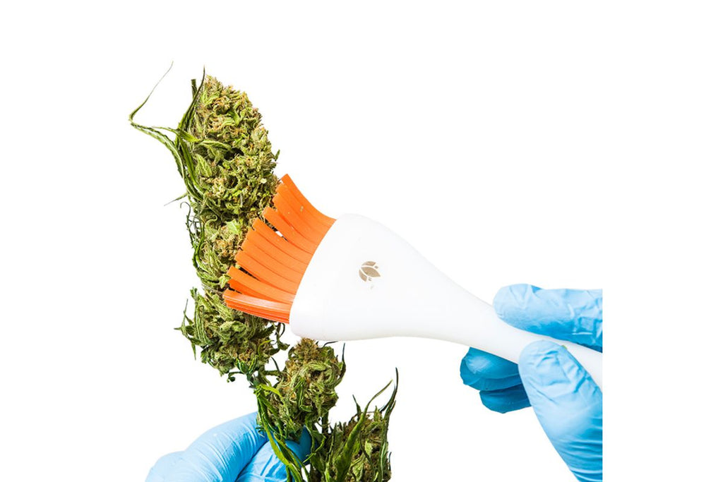 CannaBrush Trimming Brush
