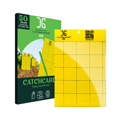 Catchmaster® Catch Cards™