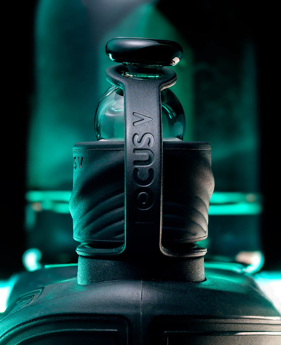 Focus V Carta Sport