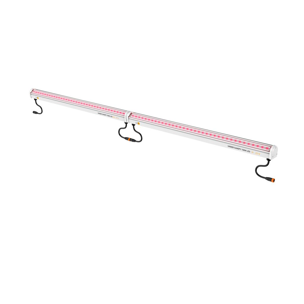 Gavita UNDER CANOPY
150W LED 120-277V