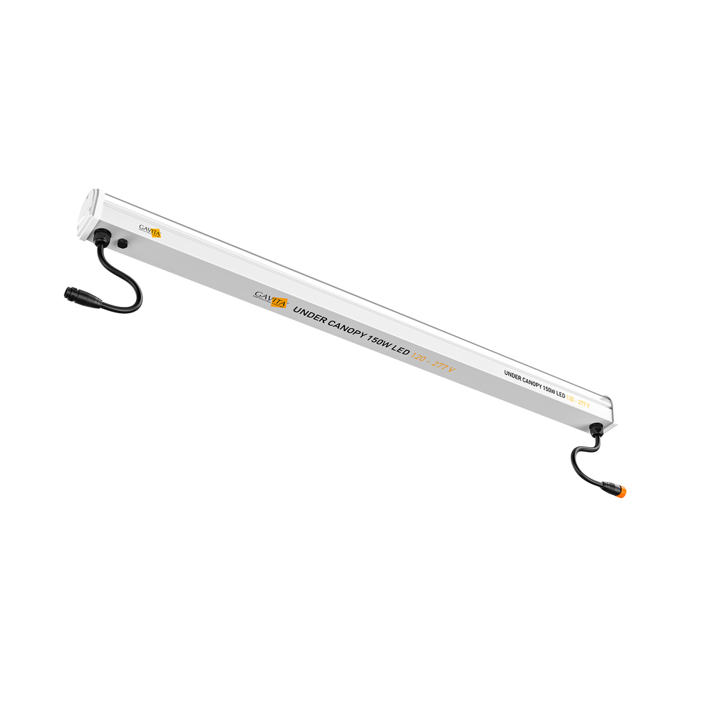 Gavita UNDER CANOPY
150W LED 120-277V