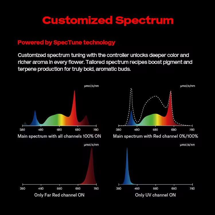 20x Flexstar Redline 1000w LED
