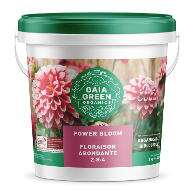 Gaia Green  POWER BLOOM 2-8-4