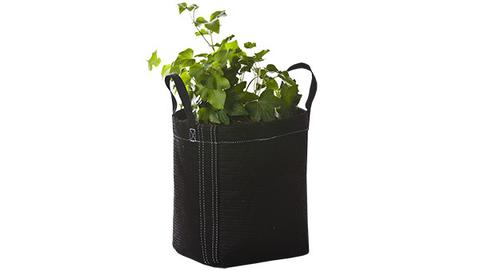 GeoPot with Handles