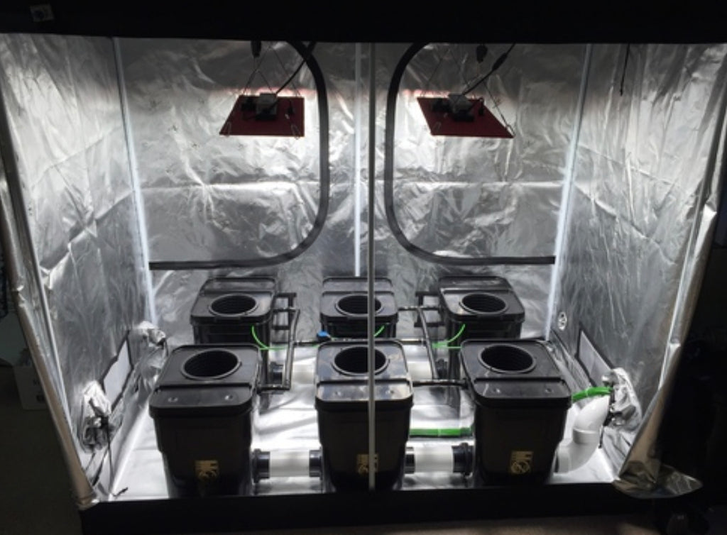 Hydroponics 6 Plant Fallponic with 13 Gallon