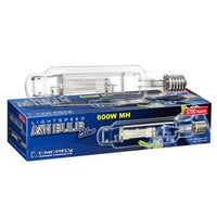 600W metal halide Lightspeed MH