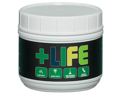 +LIFE   Veg+Bloom