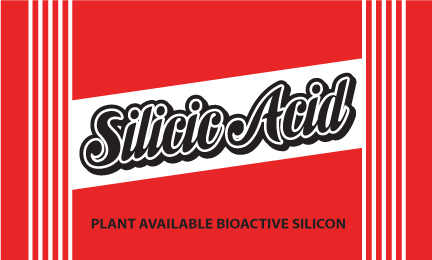 Elite91 Silicic Acid