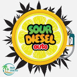 Sour diesel Auto - Collectible