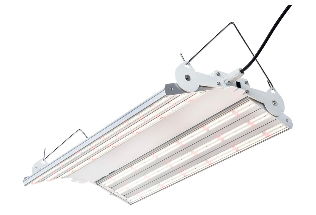 PHANTOM PHENO 440 LED, 440W, 100-277V, MP Spectrum