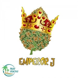 Emperor J Auto- Collectible